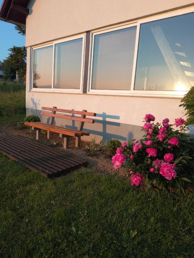 Kuca Za Odmor ,,Oletic 2" Sveti Martin Na Muri Exterior foto
